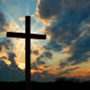 Meet your Posher, Annette